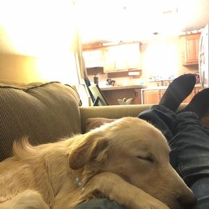 Meet your Posher, Wyatt